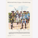 Uniformtafel Gr.4/Nr.28: SCHAUMBURG-LIPPE-B&Uuml;CKEBURG...