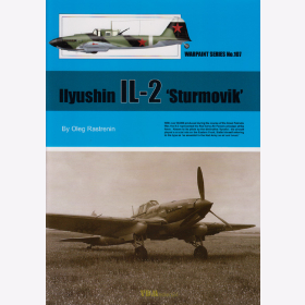 Rastrenin / Ilyushin IL-2 &quot;Sturmovik&quot;, Warpaint Nr. 107