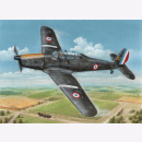 Arado Ar 96B &acute;Captured &amp; Post War&acute;...