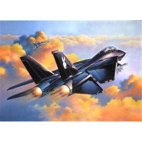Grumman F-14 A Black Tomcat 1:48