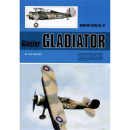 Gloster Gladiator, Warpaint Nr. 37