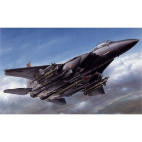 Boeing F-15E Strike Eagle with Bunker Buster, Tamiya 60312, M 1:32