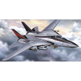 Grumman F-14A Tomcat &quot;Black Knights&quot;, Tamiya 60313, M 1:32