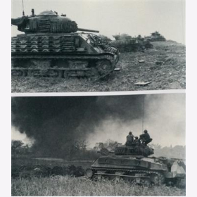 Zaloga Tank Illustrated: US Marine Tanks in World War Two