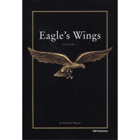 Eagle&acute;s Wings Volume 1 - Modelling the aircraft of the Luftwaffe in 1/48th Scale