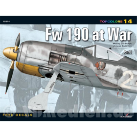 Kagero Topcolors 14 - Fw 190 at War Part 1