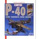 Curtiss P-40 - Assembly - Transformation - Painting -...