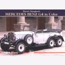  Mercedes Benz G4 in Color - W. Nieweglowski / W. Trojca