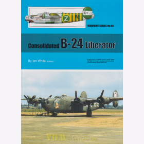 Consolidated B-24 Liberator, Warpaint Nr. 96 - Ian White