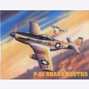 P-51 Sharkmouths HC1516 HobbyCraft 1:48