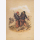 Uniformtafel Gr.1/Nr.54: FRANKREICH, 1857 - 1870 , Types Militaires I