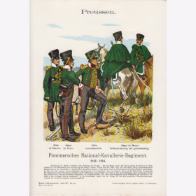 Uniformtafel Gr.4/Nr.10: PREUSSEN 1813-1814. Pommersches National-Kavallerie-Regiment