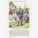 Uniformtafel Gr.4/Nr.19: ANSPACH-BAIREUTH 1790....