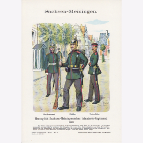 Uniformtafel Gr.4/Nr.30: SACHSEN-MEININGEN 1862. Herzoglich Sachsen-Meiningensches Infanterie-Regiment