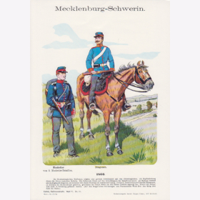 Uniformtafel Gr.4/Nr.42: Mecklenburg-Schwerin 1866.