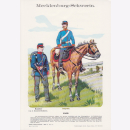 Uniformtafel Gr.4/Nr.42: Mecklenburg-Schwerin 1866.