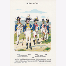 Uniformtafel Gr.4/Nr.43: SCHWEDEN 1807.