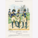 Uniformtafel Gr.4/Nr.44: SCHWEDEN 1807. Schwere Reiterei
