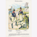 Uniformtafel Gr.4/Nr.46: SCHWEDEN 1807. Leichte Reiterei