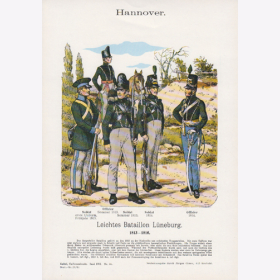 Uniformtafel Gr.4/Nr. 91: HANNOVER 1813-1816 Leichtes Bataillon L&uuml;neburg