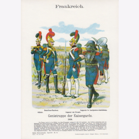 Uniformtafel Gr.4/Nr. 100: FRANKREICH 1810. Genietruppe der Kaisergarde