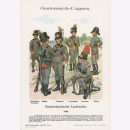 Uniformtafel Gr.4/Nr. 107: OESTERREICH-UNGARN 1806....