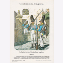 Uniformtafel Gr.4/Nr. 109: OESTERREICH-UNGARN 1813-1814...