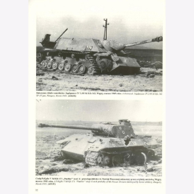 Wydawnictwo Militaria No.206 - Kotomyjec / Moszczanskij - Panzerwaffe 1945