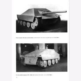 Wydawnictwo Militaria No.45 - Ledwoch - Jagdpanzer 38(t) Hetzer