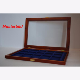 Echtholz Vitrine Rustikal Münzen Samteinlage Echtglas für 15 Münzen