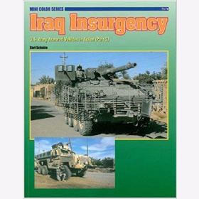 Iraq Insurgency (7519)