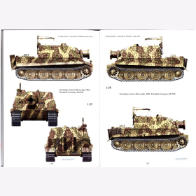Trojca Jaugitz Sturmtiger Sturmpanzer im Kampf Sonderausgabe Modellbau Bildband 