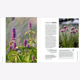 Mann Fotografie im Garten Bl&uuml;tenportr&auml;ts Pflanzenbilder Blumenfotos