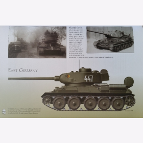 Skulski T-34-85 After WW2 Camouflage Markings 1946-2016 Panzer
