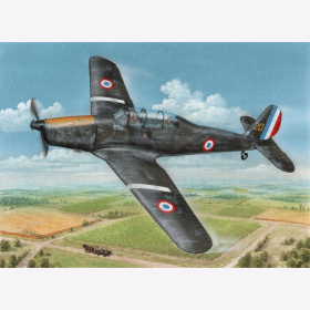 Arado Ar 96B &acute;Captured &amp; Post War&acute; Special Hobby 72409 1:72