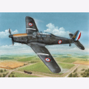 Arado Ar 96B ´Captured & Post War´...