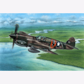 P-40E Warhawk &acute;Claws and Teeth&acute;  Special Hobby 72338 1:72