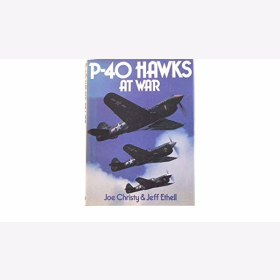 Christy Ethell P-40 Hawks at War
