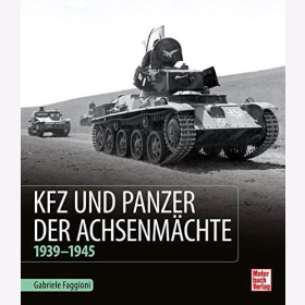 Faggioni Kfz und Panzer der Achsenm&auml;chte 1939-1945 Erster Weltkrieg P40 Panzertypen