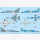Mirage F.1 Duo Pack & Book Special Hobby 72414 1:72 inkl. Buch