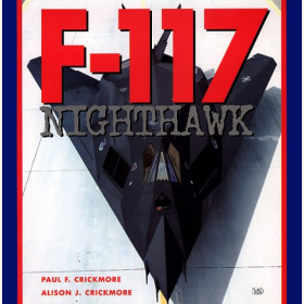 Crickmore F-117 Nighthawk Stealth Tarnkappenjet