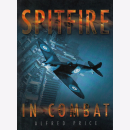 Price Spitfire in Combat