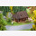 Mühle Hübschental Faller 130578 1:87 Lasercut-Modell Modellbau Diorama Getreidemühle