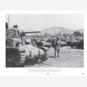 Johnson Captured Vehicles in Wehrmacht Service 1939-1945 Panzer Rad Kette 