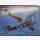 Sopwith F.1 Camel & LVG C.VI Wingnut Wings 32803 1:32 Modellbau Flugzeug
