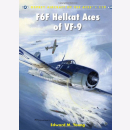 Young F6F Hellcat Aces of VF-9 (ACE Nr. 119)