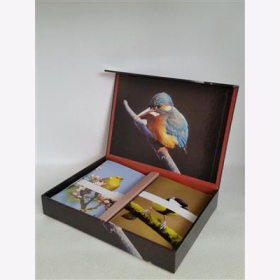 Birds 30 Gift cards &amp; Envelopes