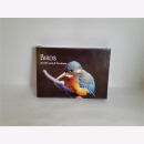 Birds 30 Gift cards &amp; Envelopes