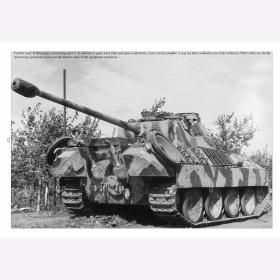 Panther Ausf. D Bergepanther Technik und Einsatzgeschichte Trojca