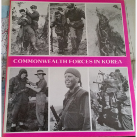 Commonwealth Forces in Korea Bildband
